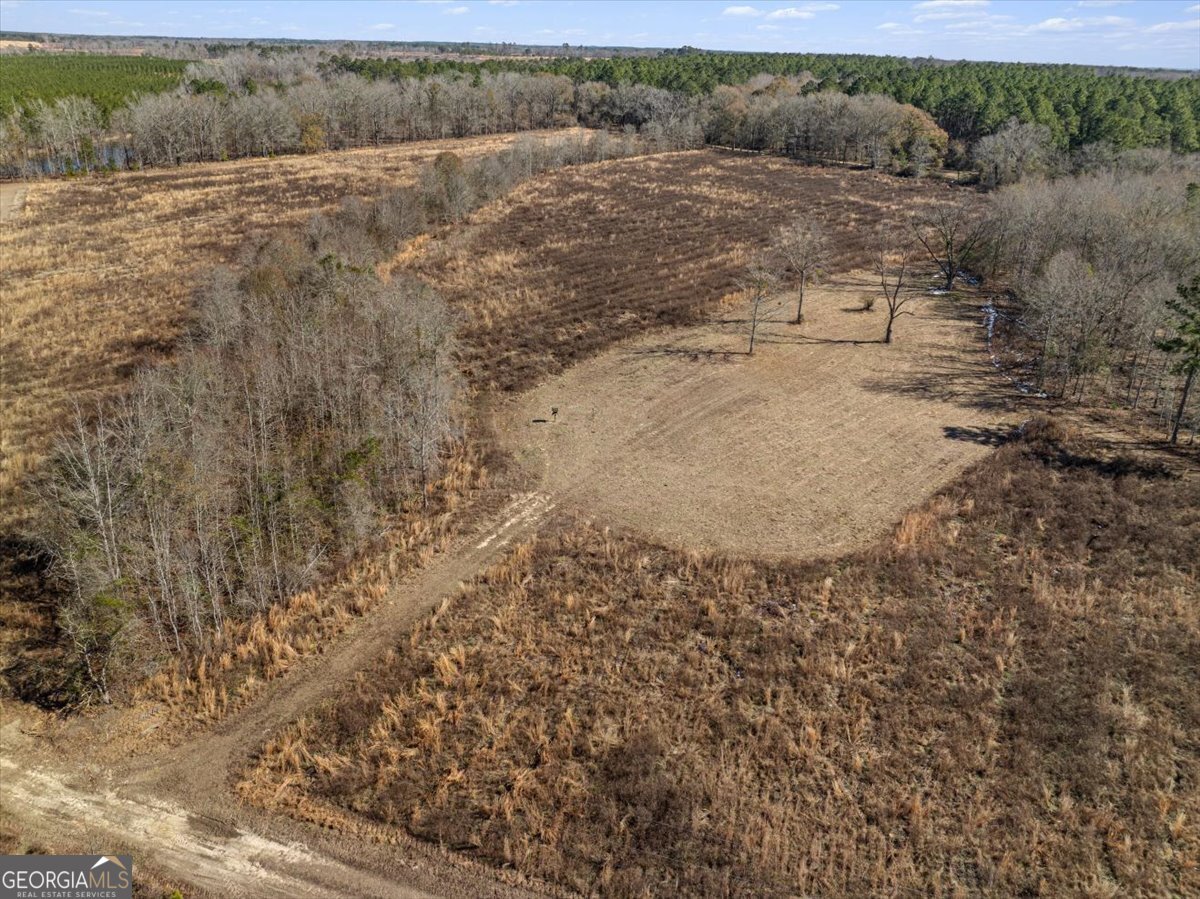 1644 Rigby Road Eastman - 49
