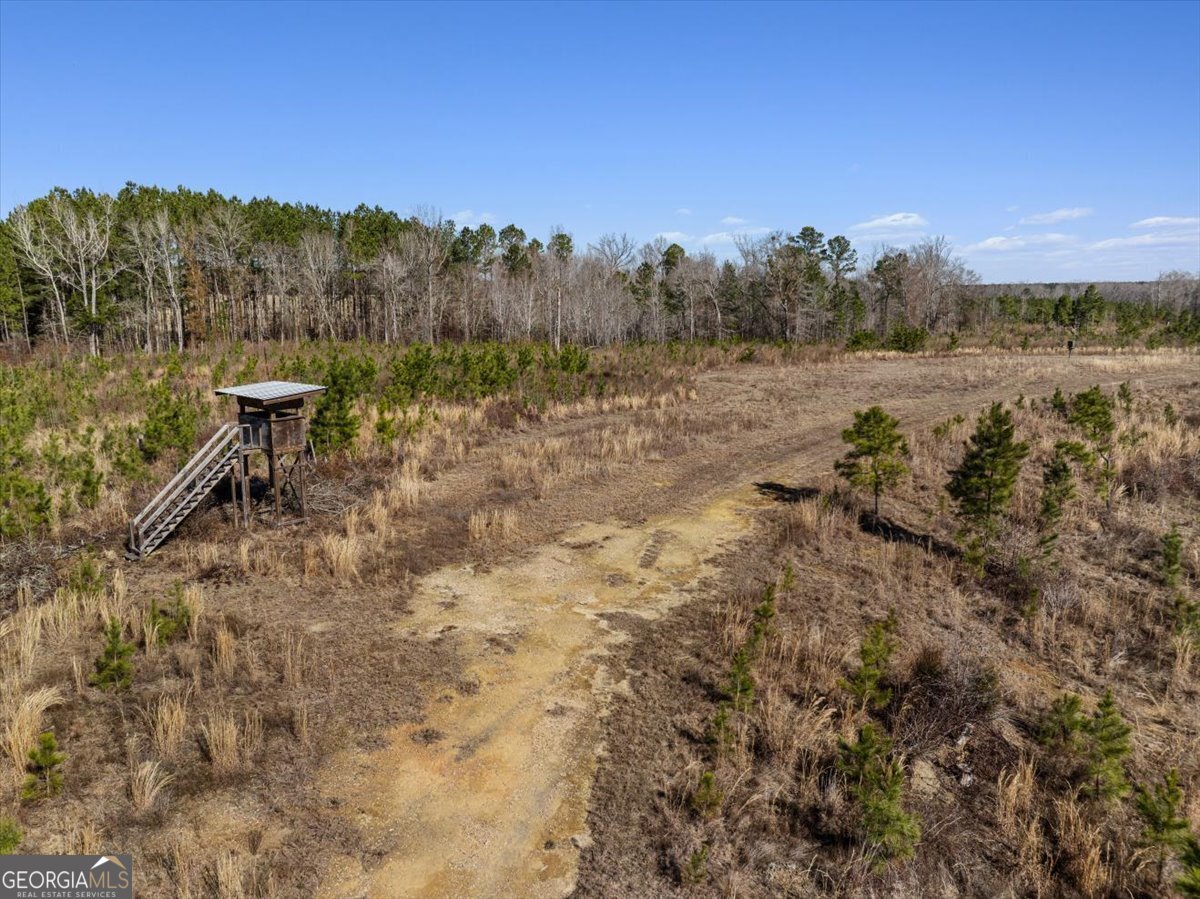 1644 Rigby Road Eastman - 57