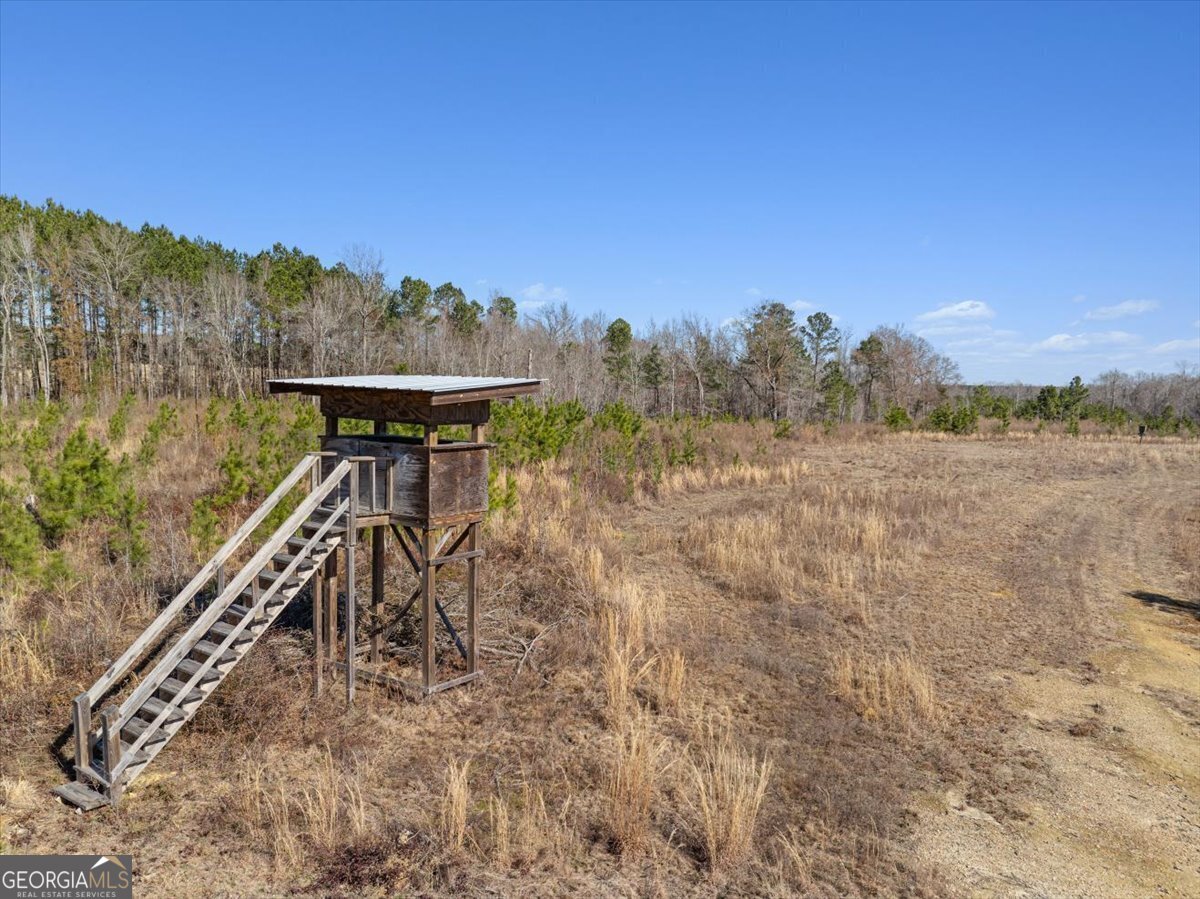 1644 Rigby Road Eastman - 58