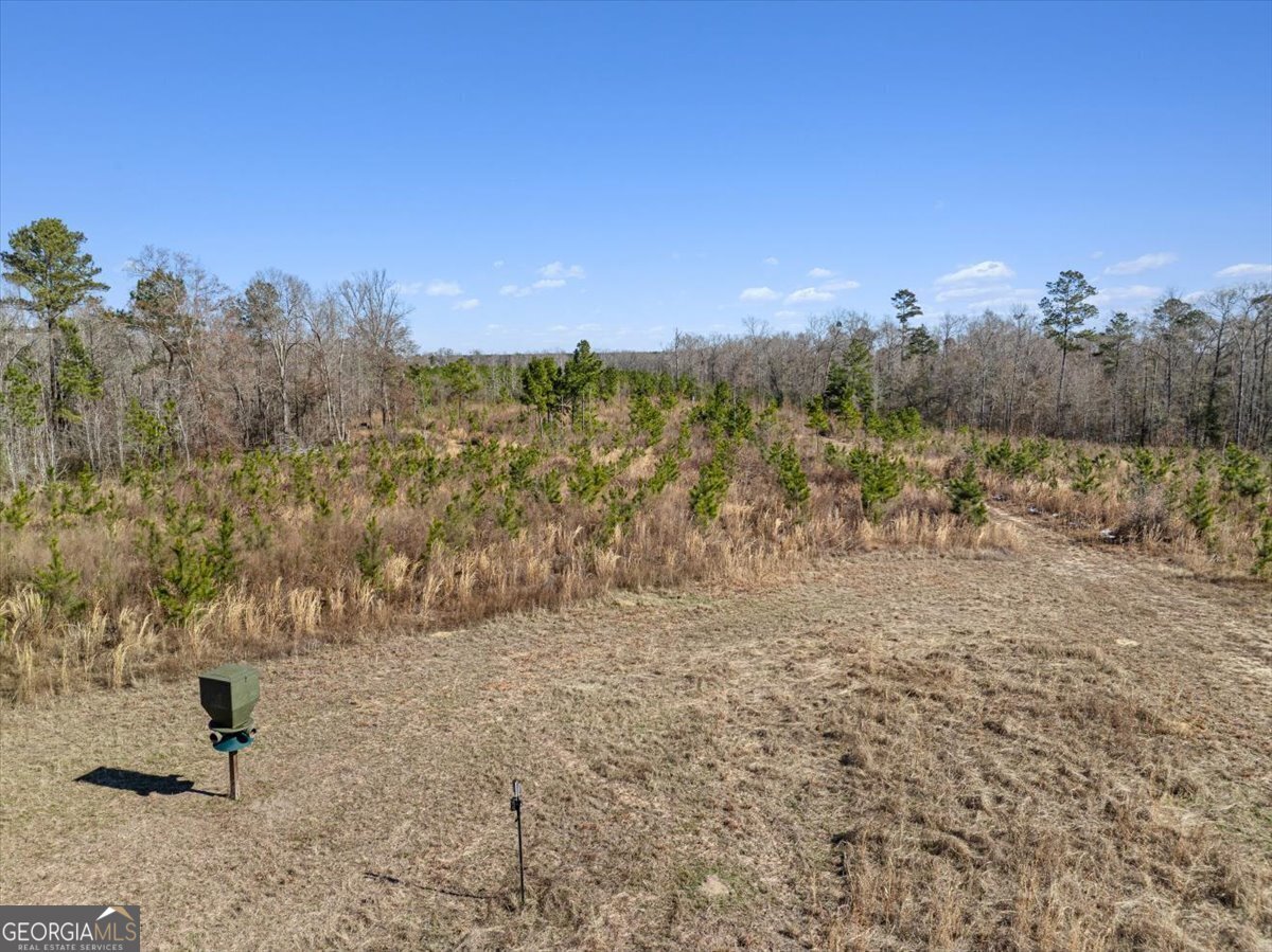 1644 Rigby Road Eastman - 60