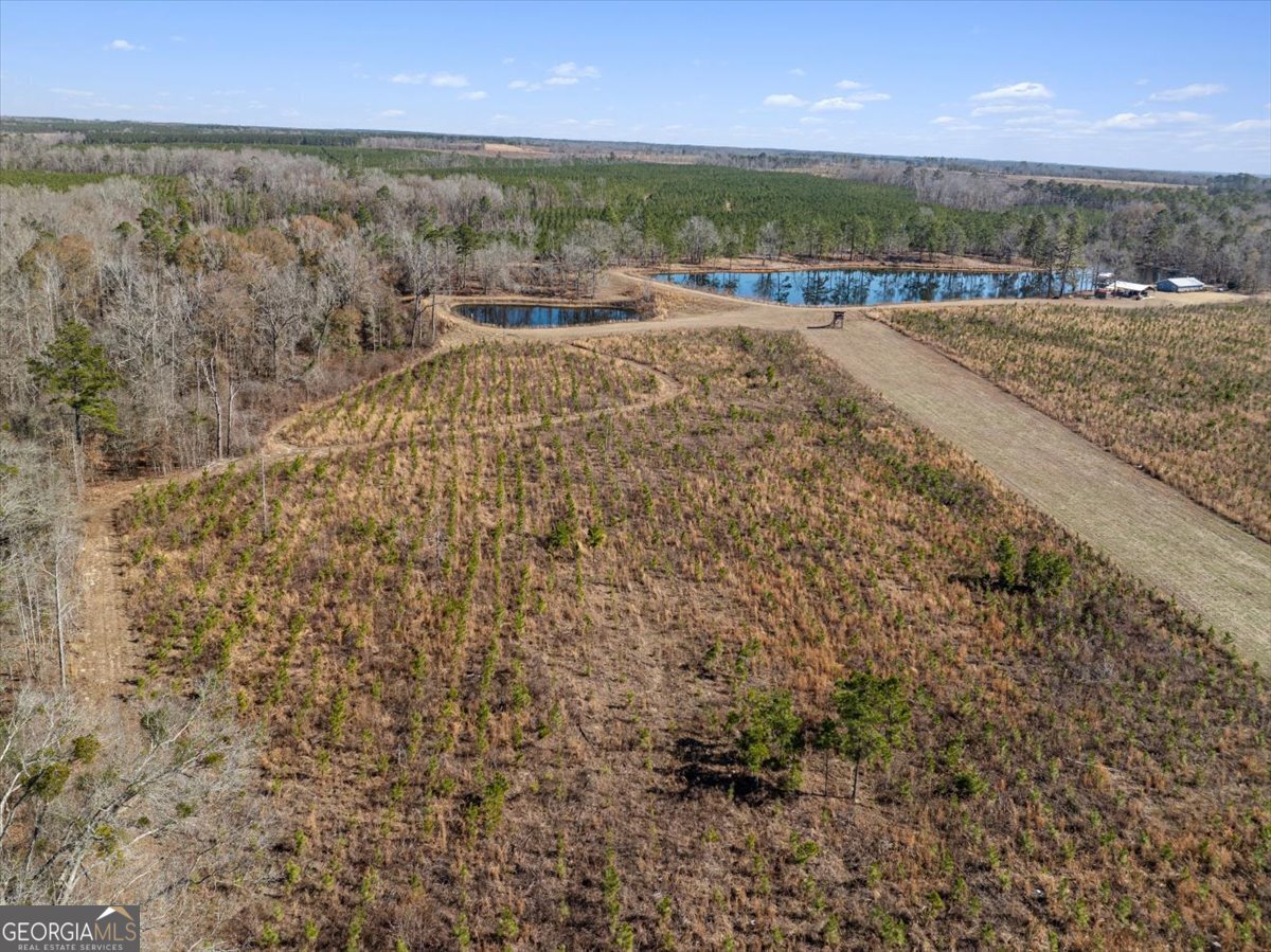 1644 Rigby Road Eastman - 61