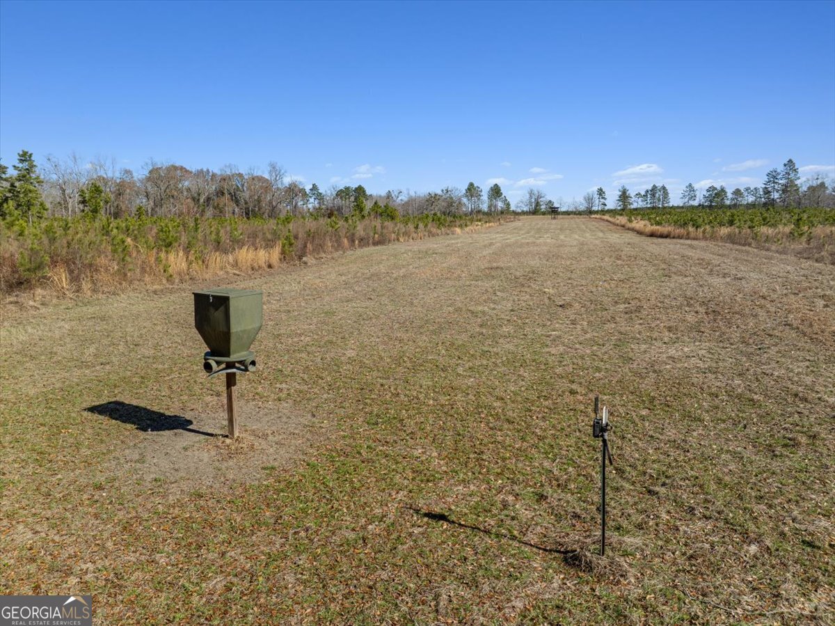 1644 Rigby Road Eastman - 63