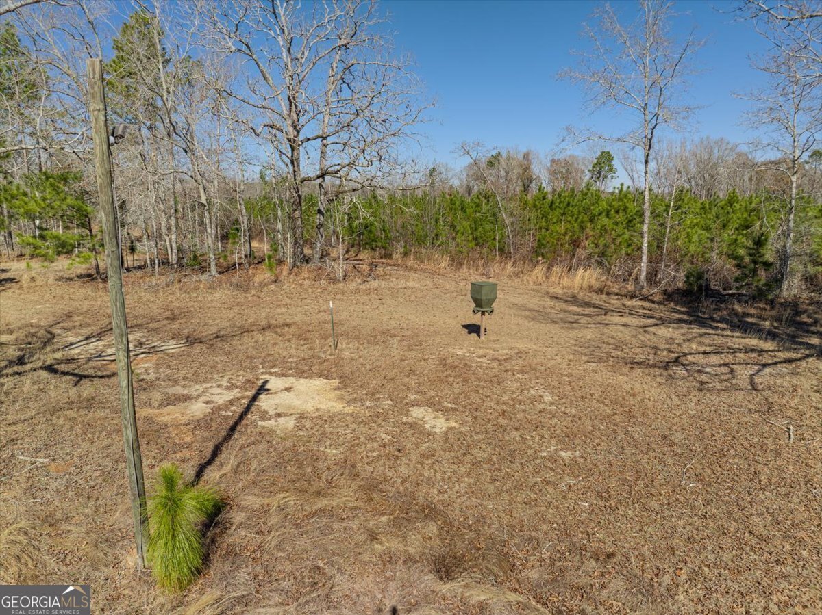 1644 Rigby Road Eastman - 73