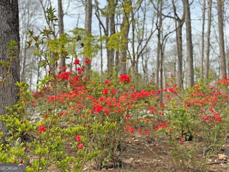 3781 Anneewakee Road Douglasville - 34