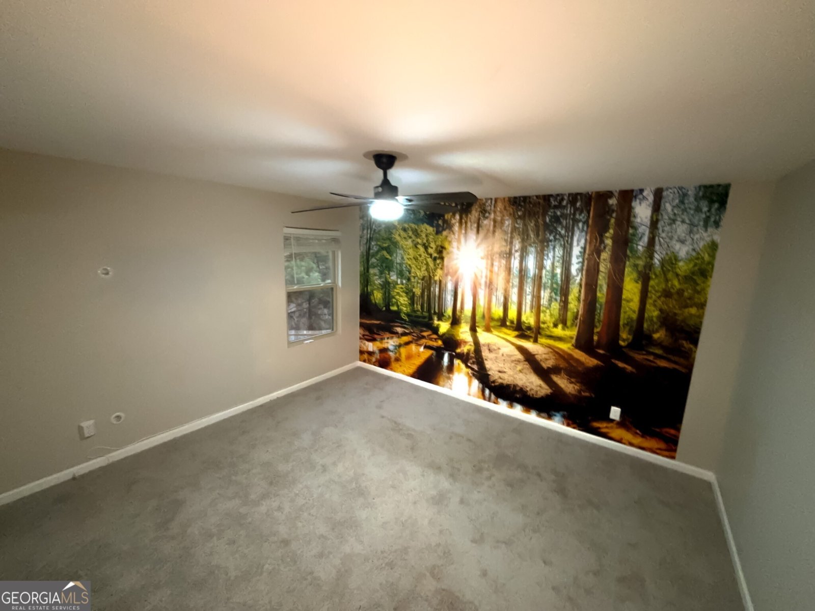 6636 Saint Jude Drive Fairburn - 11