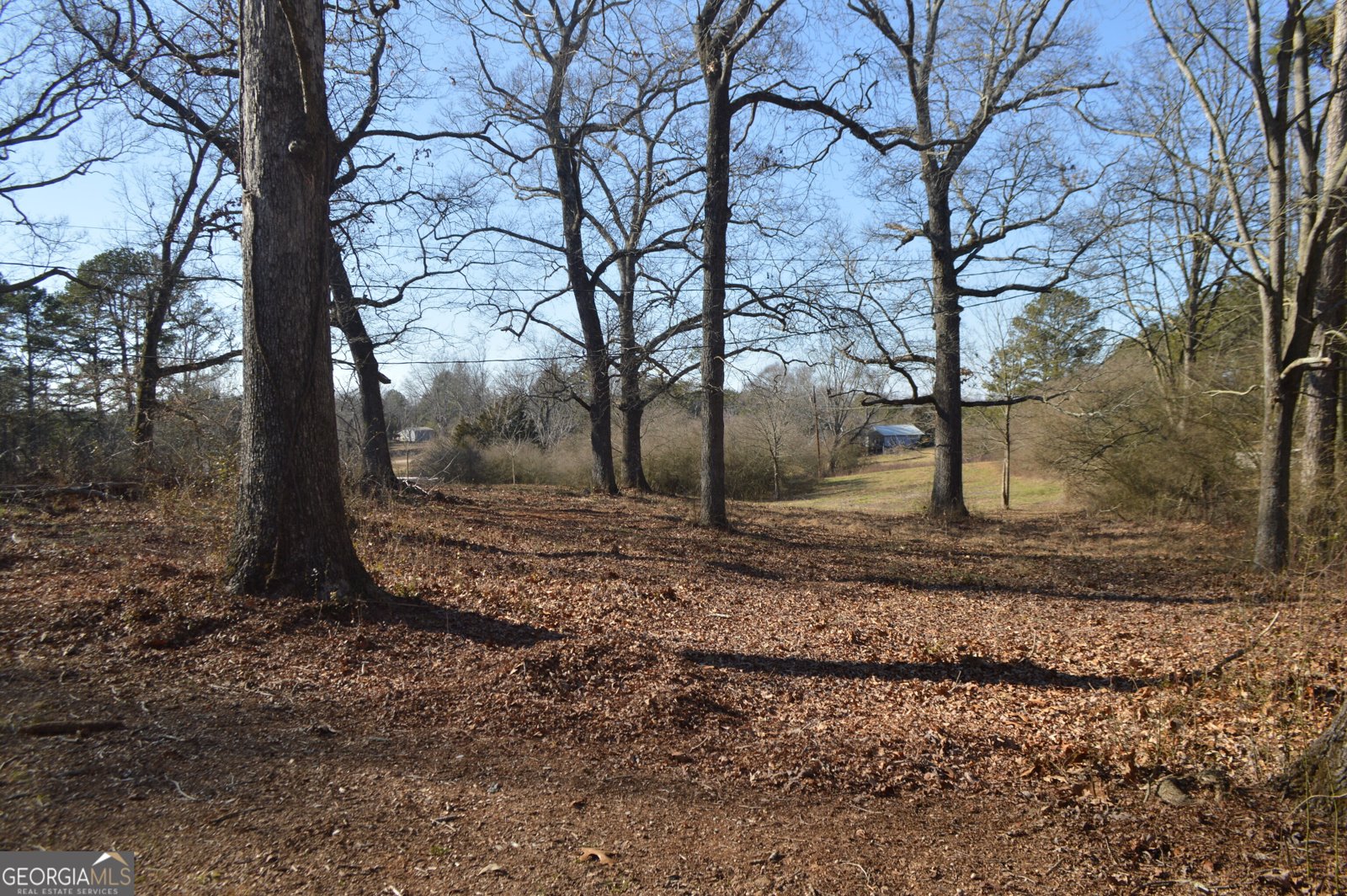933 Alto Mud Creek Road Alto - 34