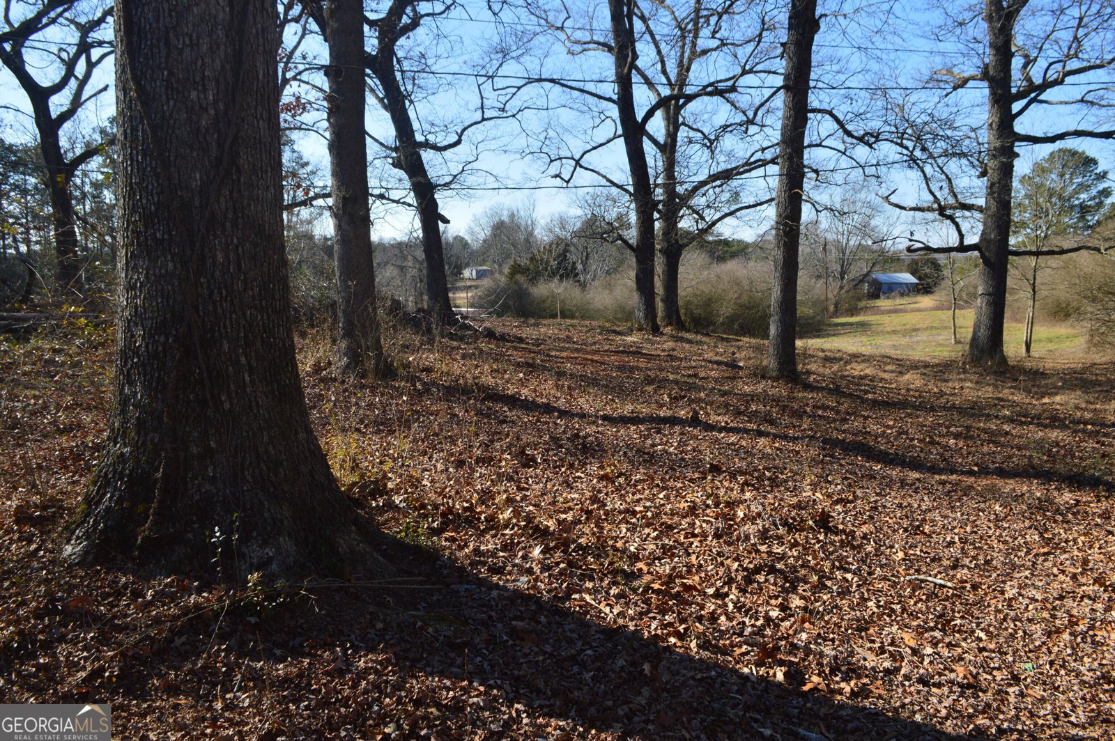 933 Alto Mud Creek Road Alto - 35