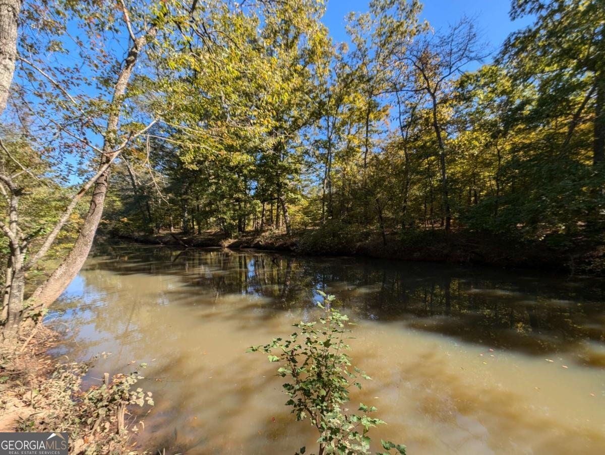 1275 Poole Bridge Road Hiram - 21