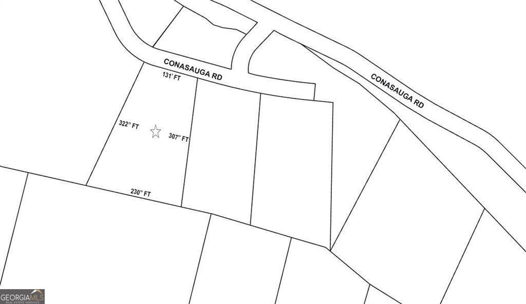 1557 Conasauga Road Ellijay - 13