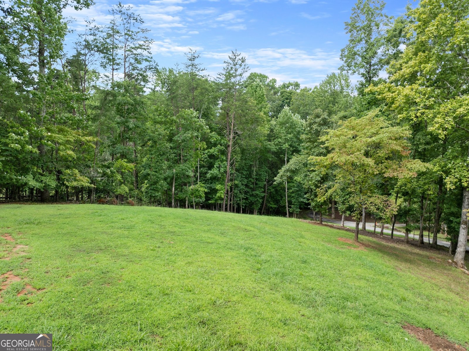 2123 Goat Neck Road Cleveland - 37