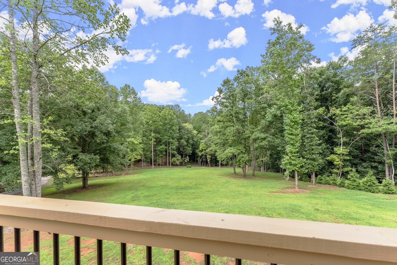 2125 Goat Neck Road Cleveland - 19