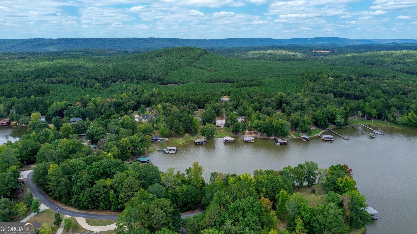 85 County Road 764 Cedar Bluff - 47