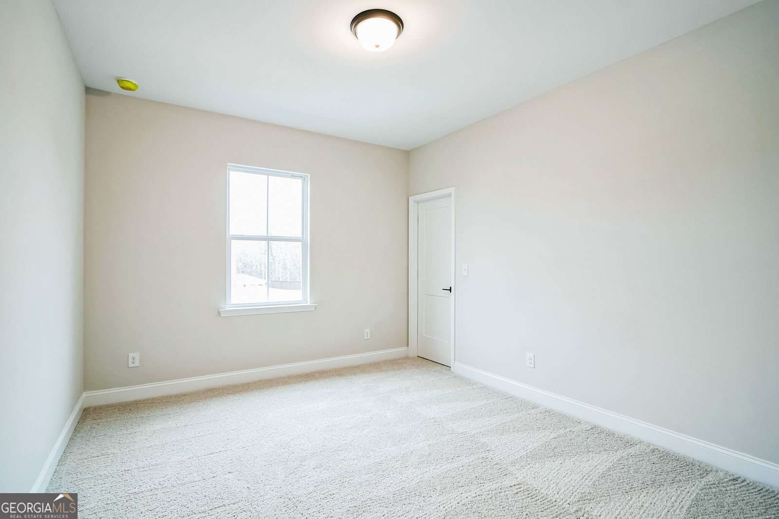 370 Red Wood Lane Hoschton - 19