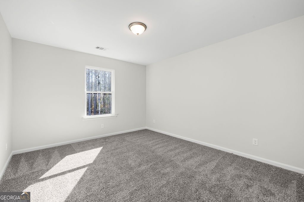 195 Daniel Trent Way Kingsland - 23