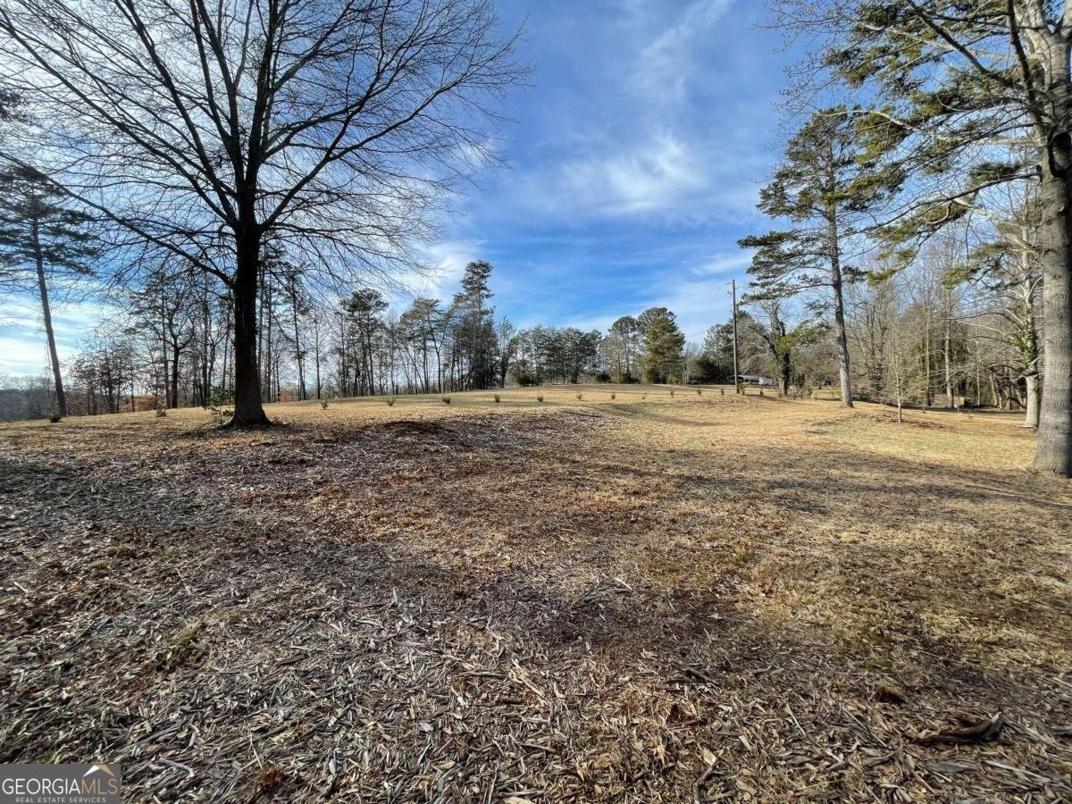 4504 Noah Martin Road Lula - 6