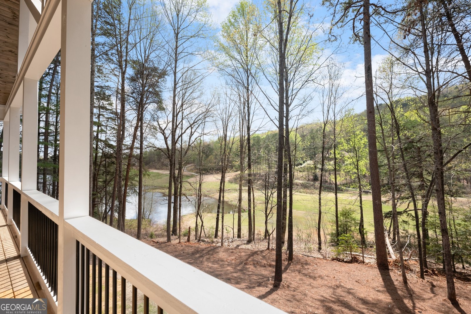 226 Orchard Court Clarkesville - 21