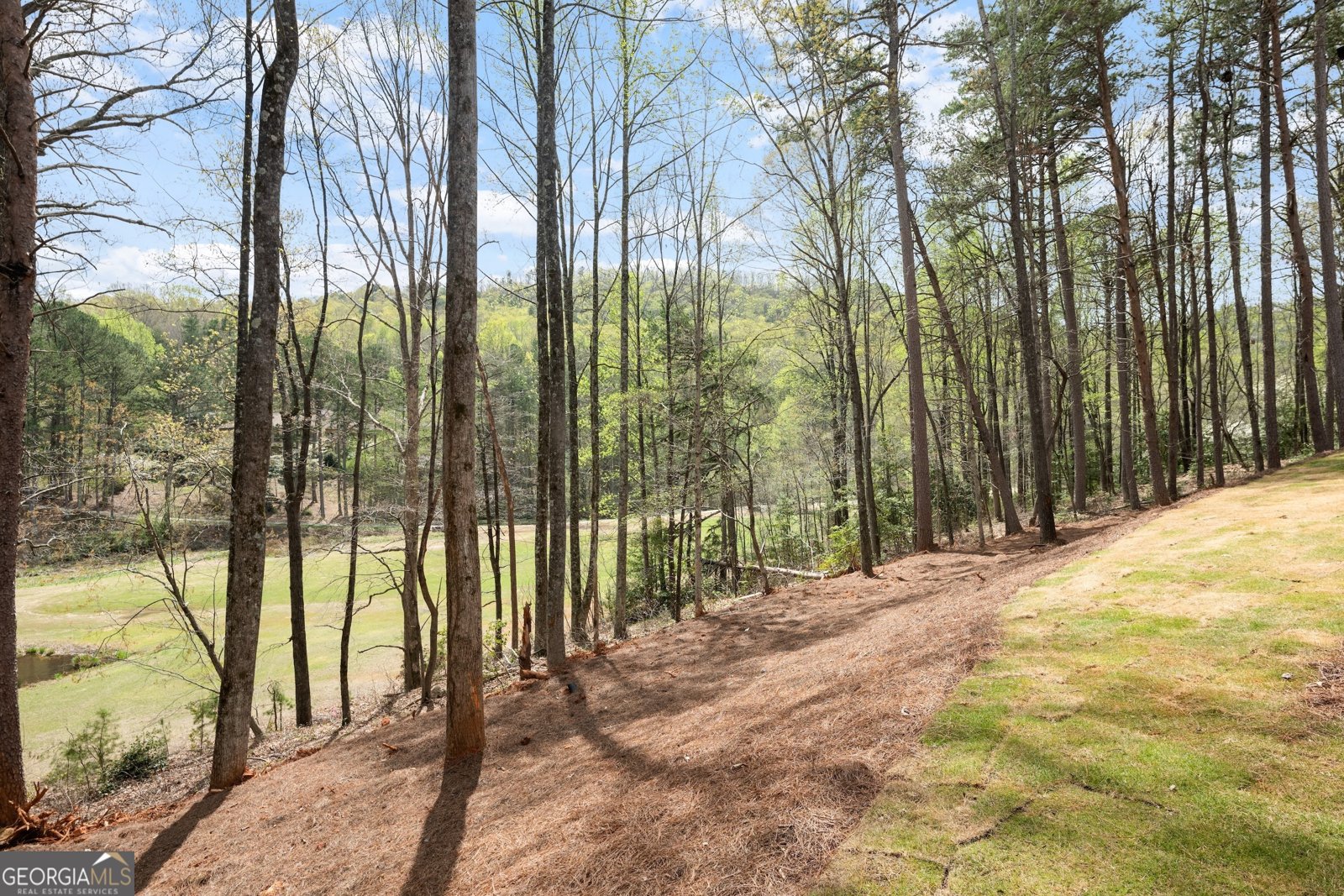 226 Orchard Court Clarkesville - 27