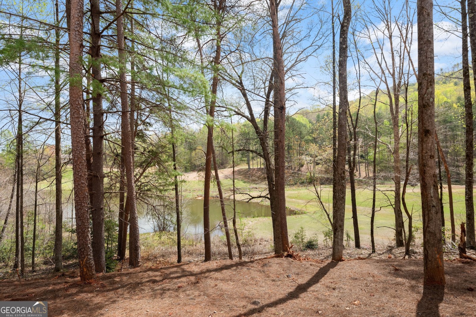 226 Orchard Court Clarkesville - 28
