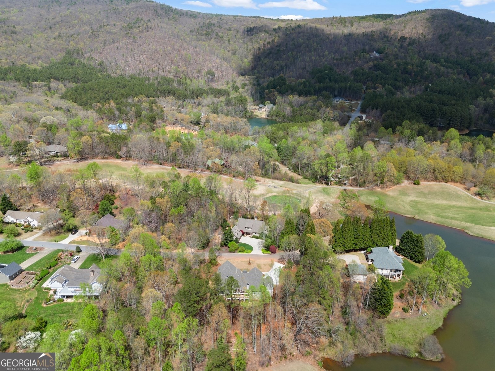 226 Orchard Court Clarkesville - 37