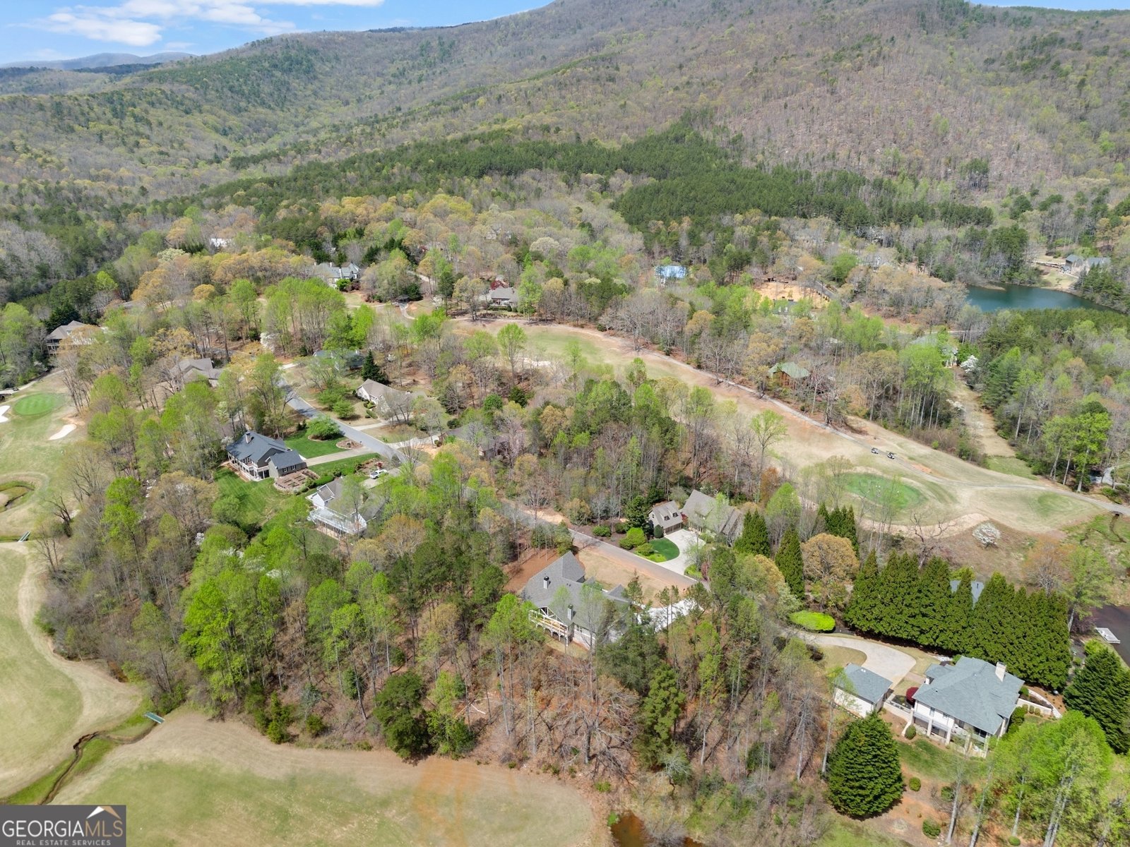 226 Orchard Court Clarkesville - 38