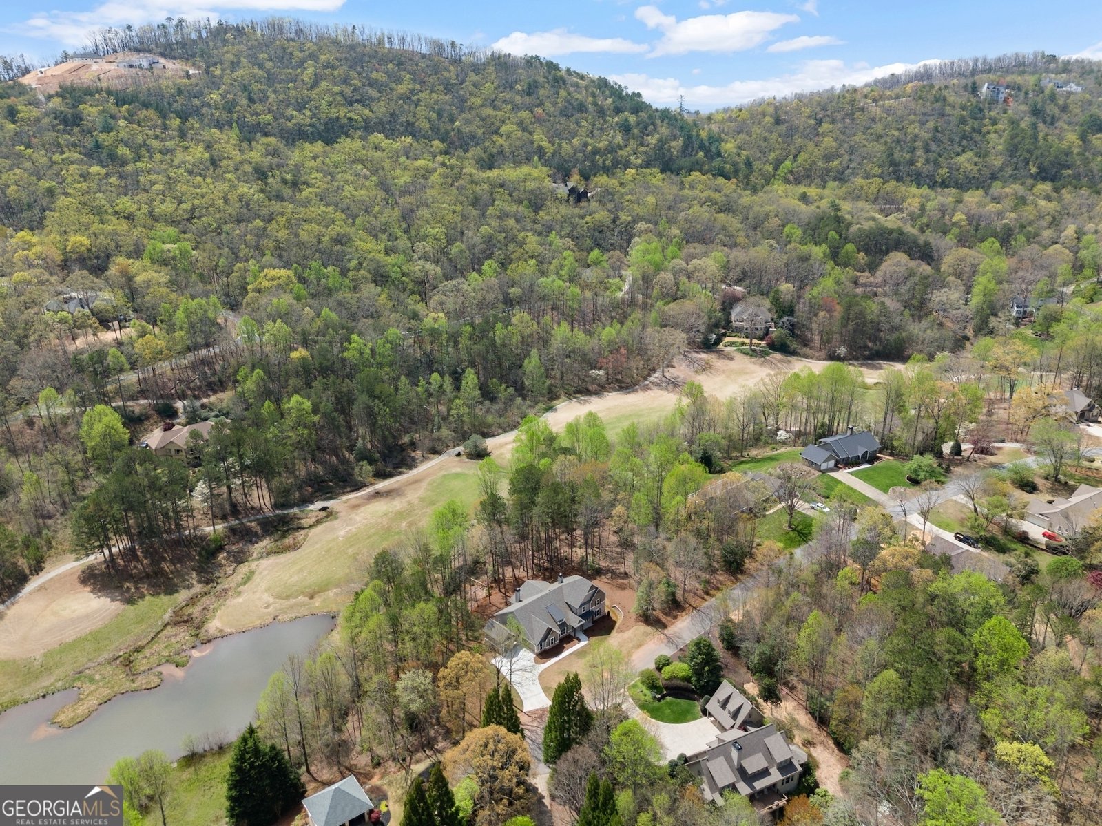 226 Orchard Court Clarkesville - 39