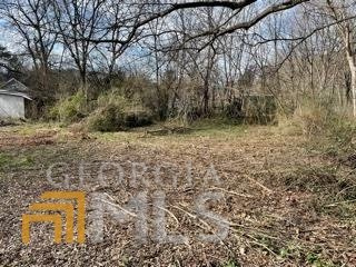 98 Woodruff Street Silver Creek - 3