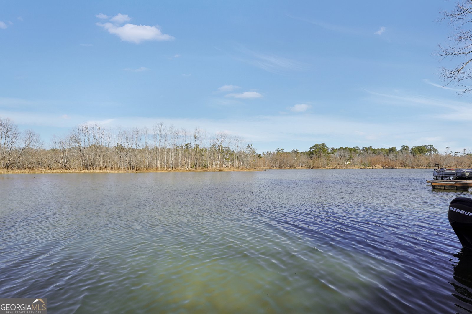 424 Henry Higgins Road Jackson - 31