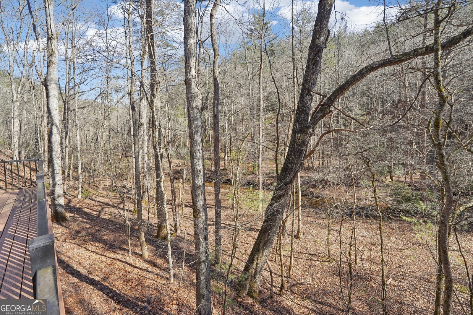 581 Etowah Trail Dahlonega - 56