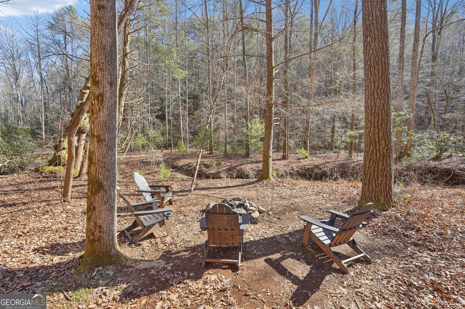 581 Etowah Trail Dahlonega - 58