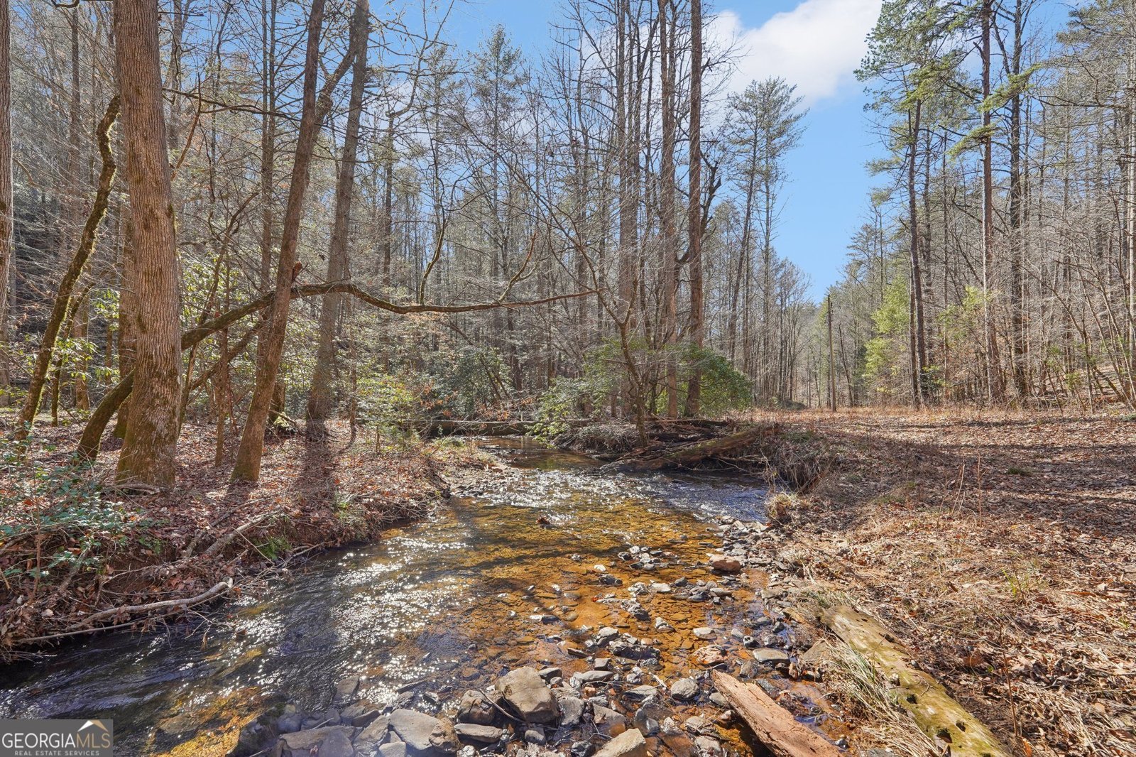 581 Etowah Trail Dahlonega - 60
