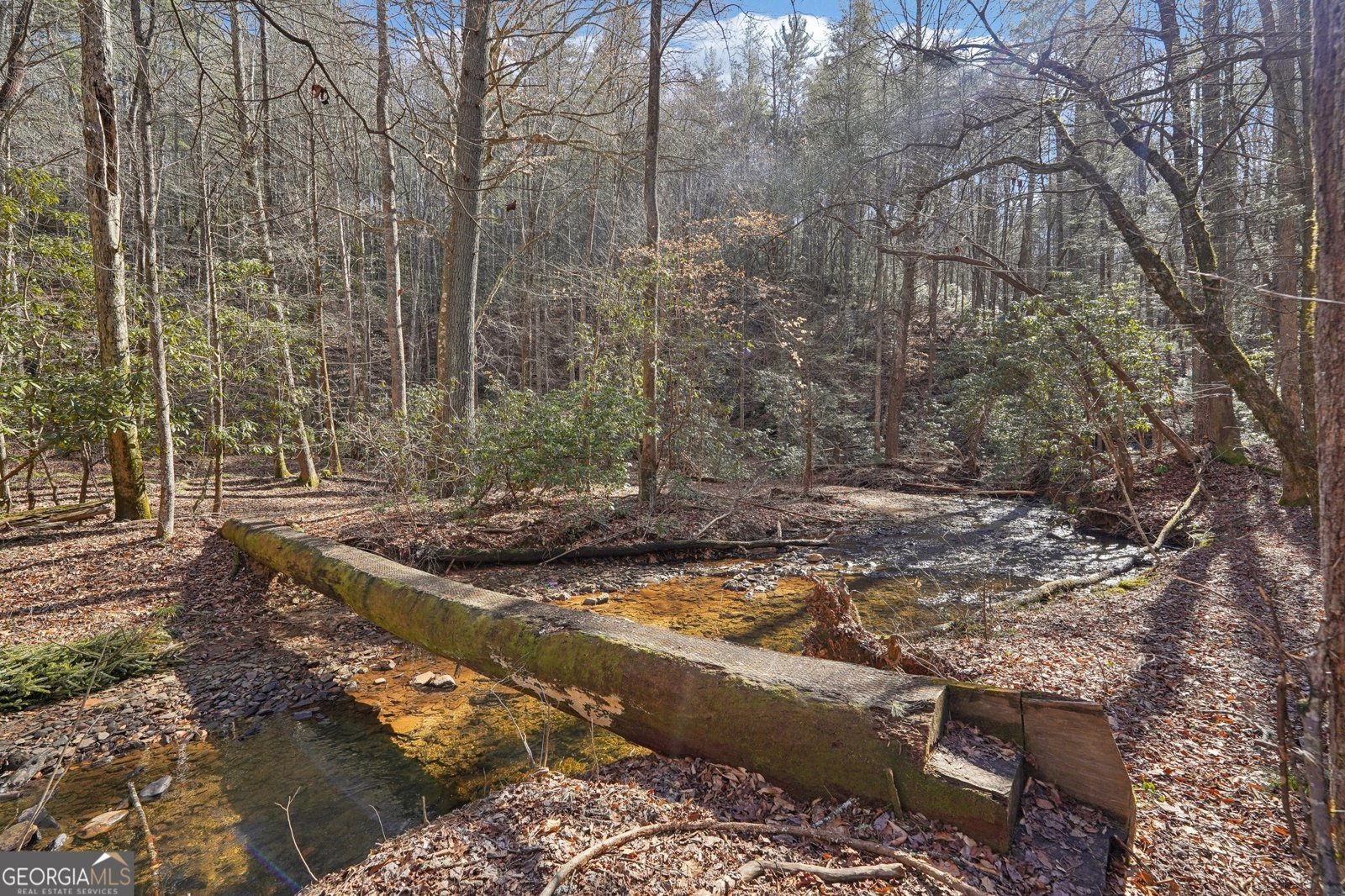 581 Etowah Trail Dahlonega - 61
