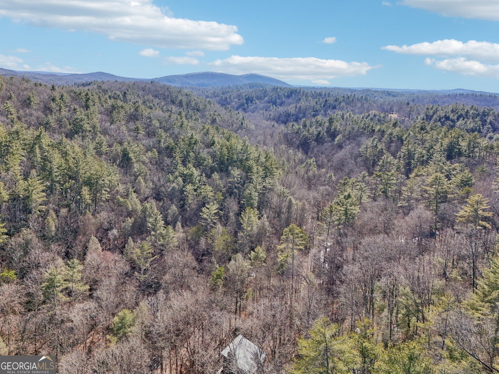 581 Etowah Trail Dahlonega - 69