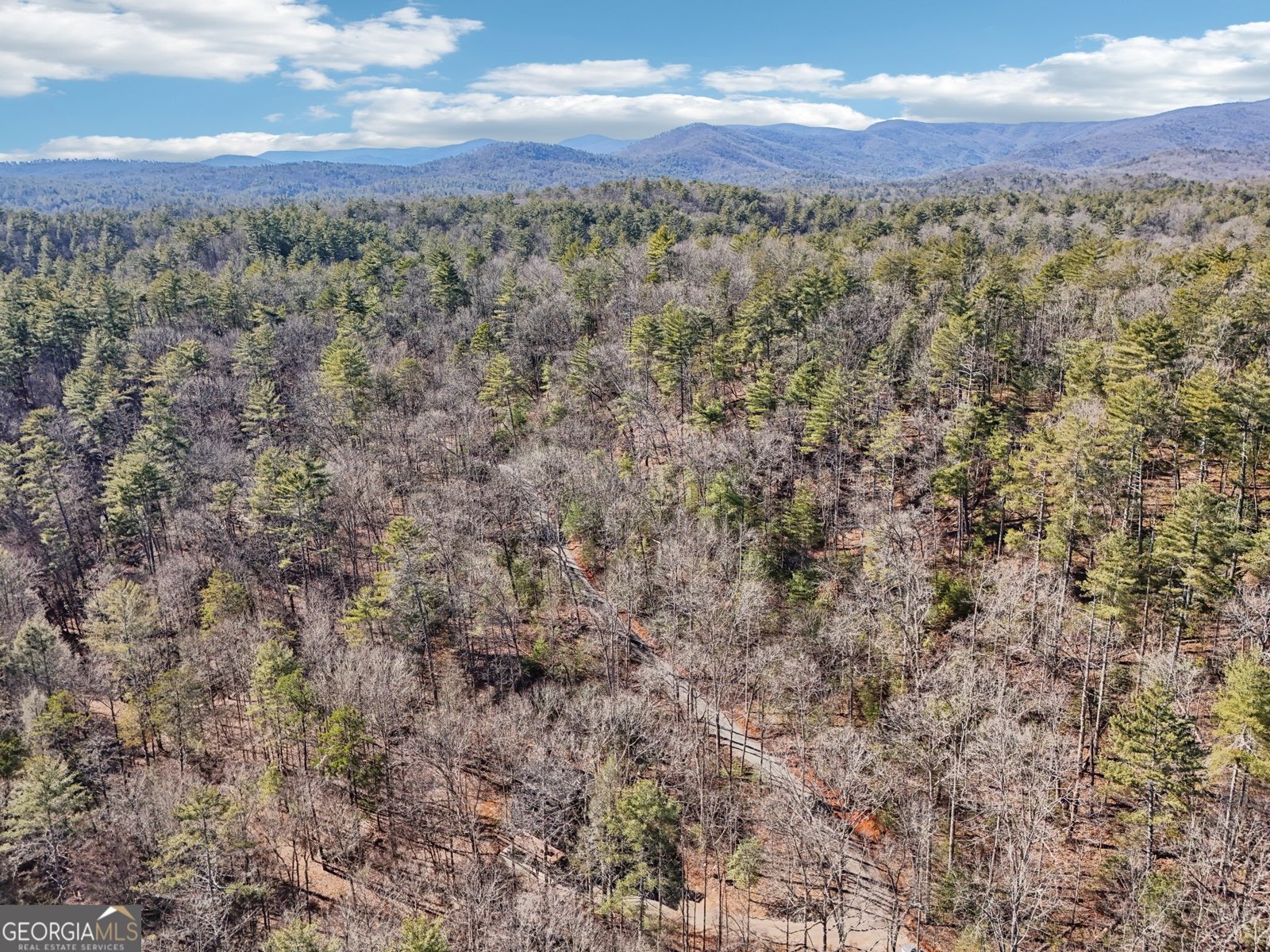 581 Etowah Trail Dahlonega - 71