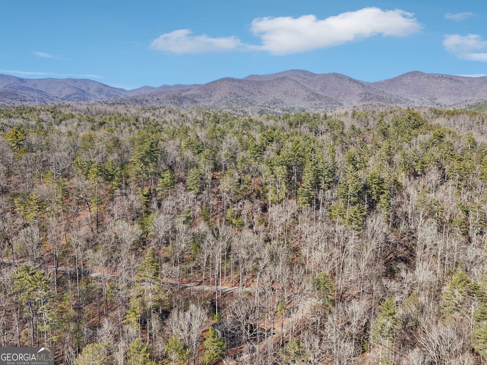 581 Etowah Trail Dahlonega - 73