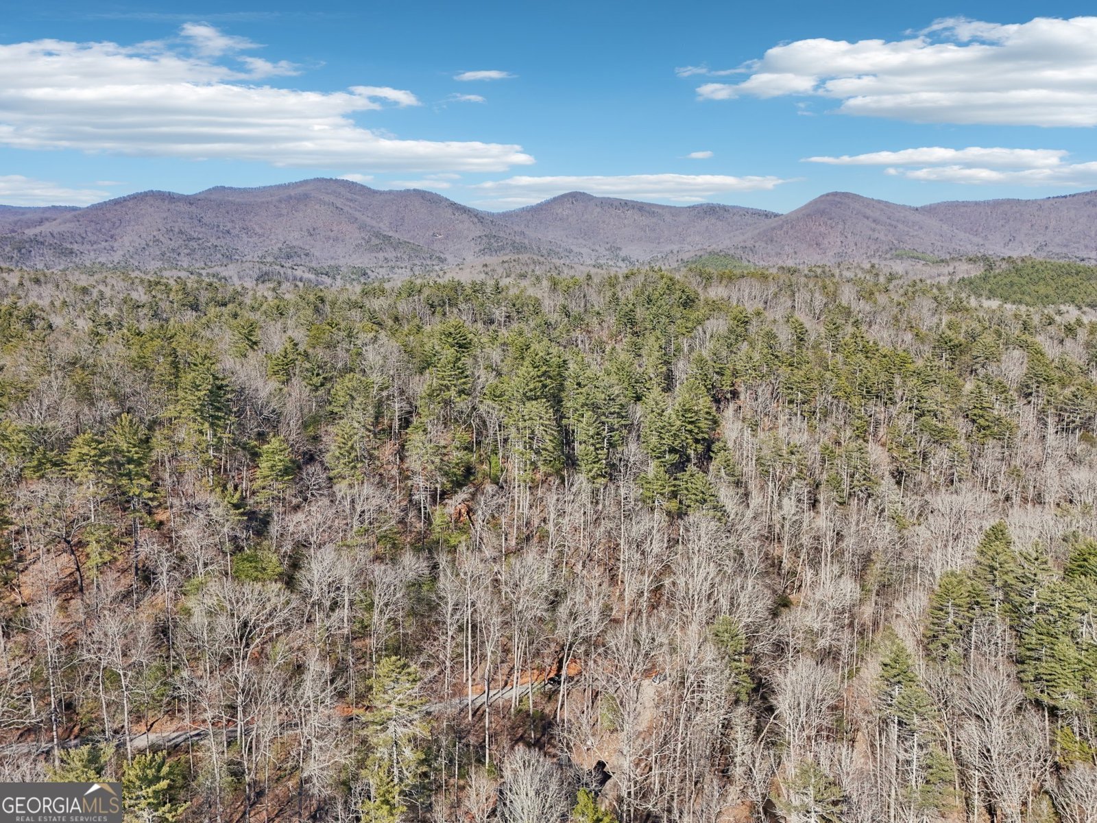 581 Etowah Trail Dahlonega - 74