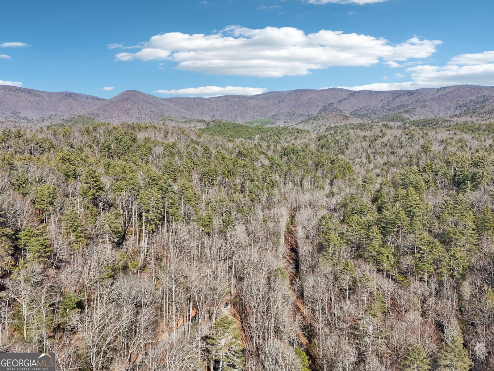 581 Etowah Trail Dahlonega - 75