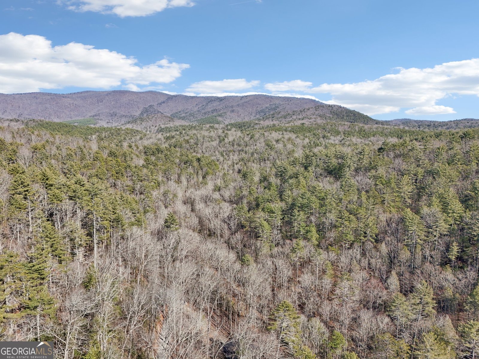 581 Etowah Trail Dahlonega - 76