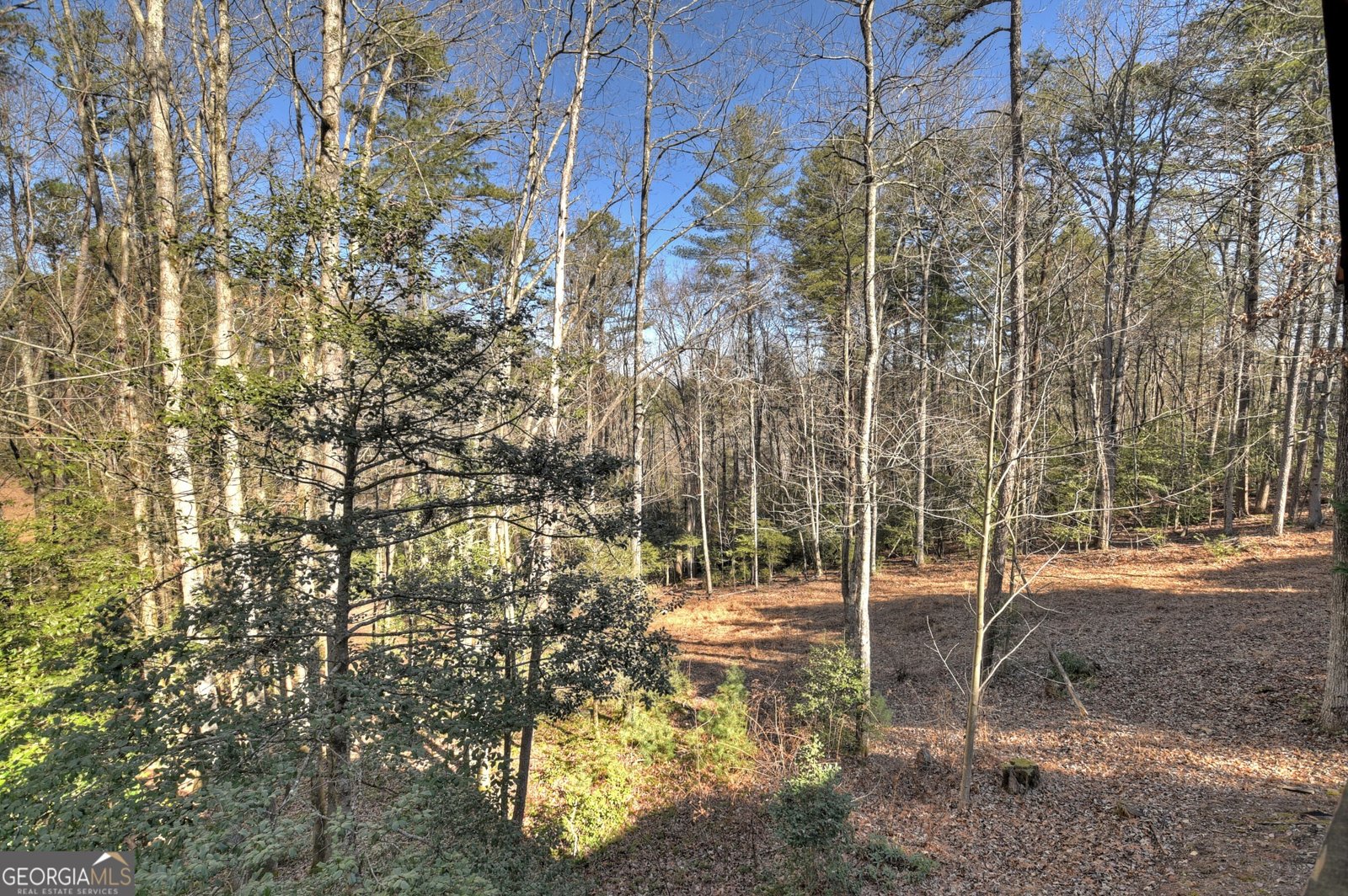 930 Power Dam Road Blue Ridge - 22