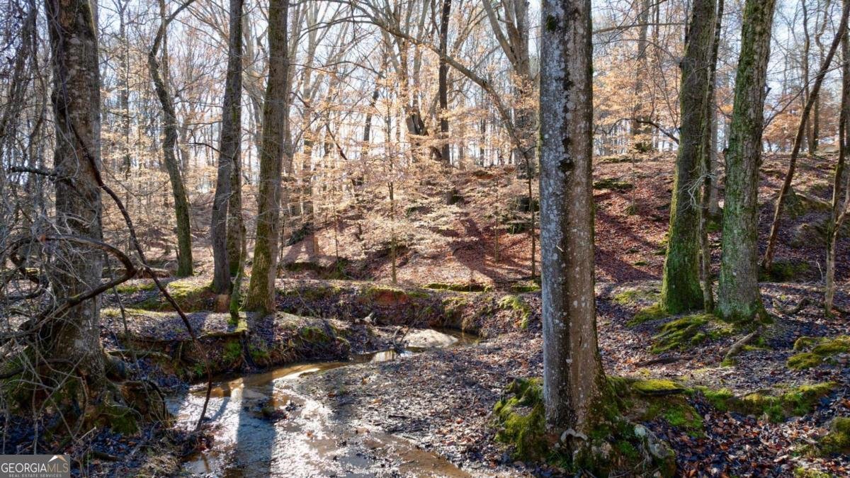 2223 Salem Road Watkinsville - 4
