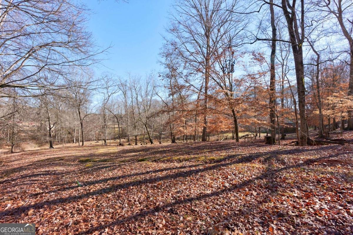 2223 Salem Road Watkinsville - 45