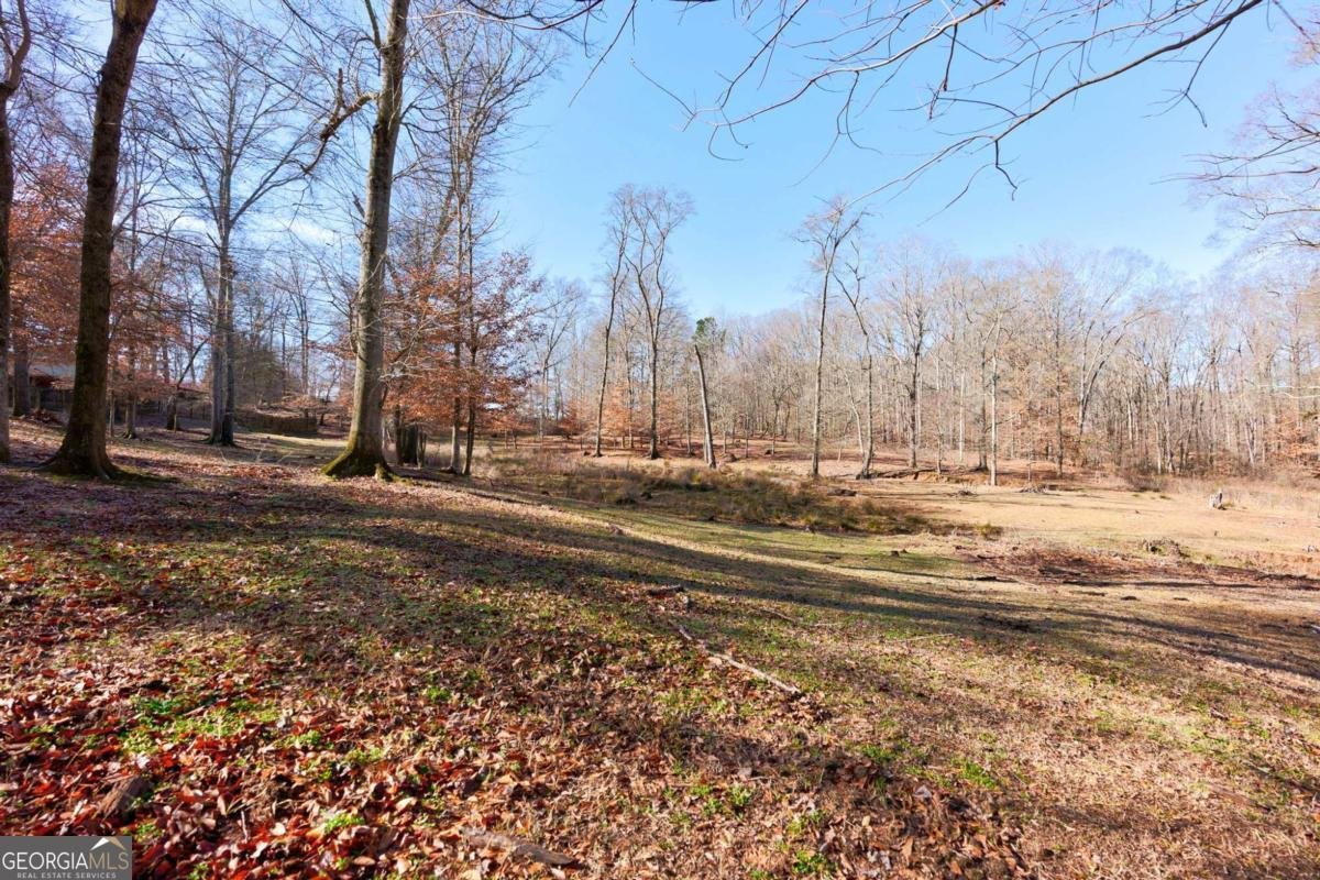 2223 Salem Road Watkinsville - 46