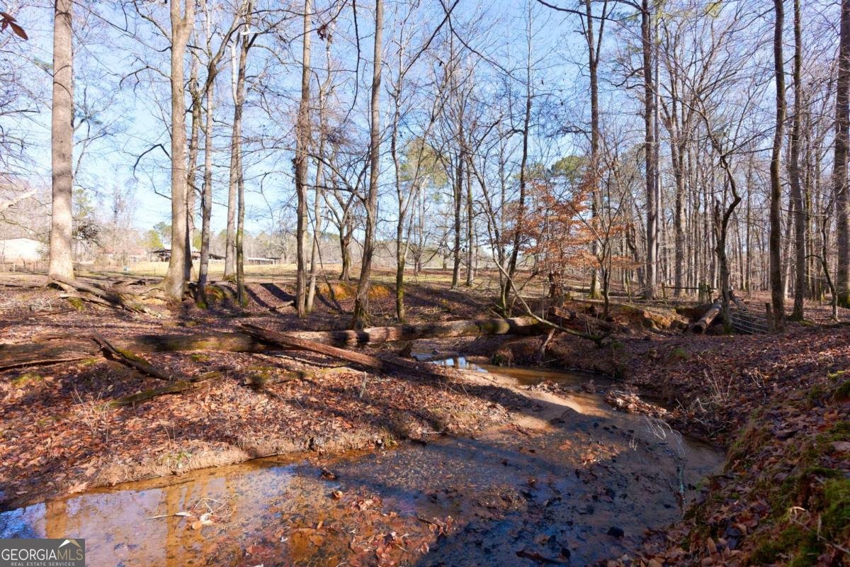 2223 Salem Road Watkinsville - 48