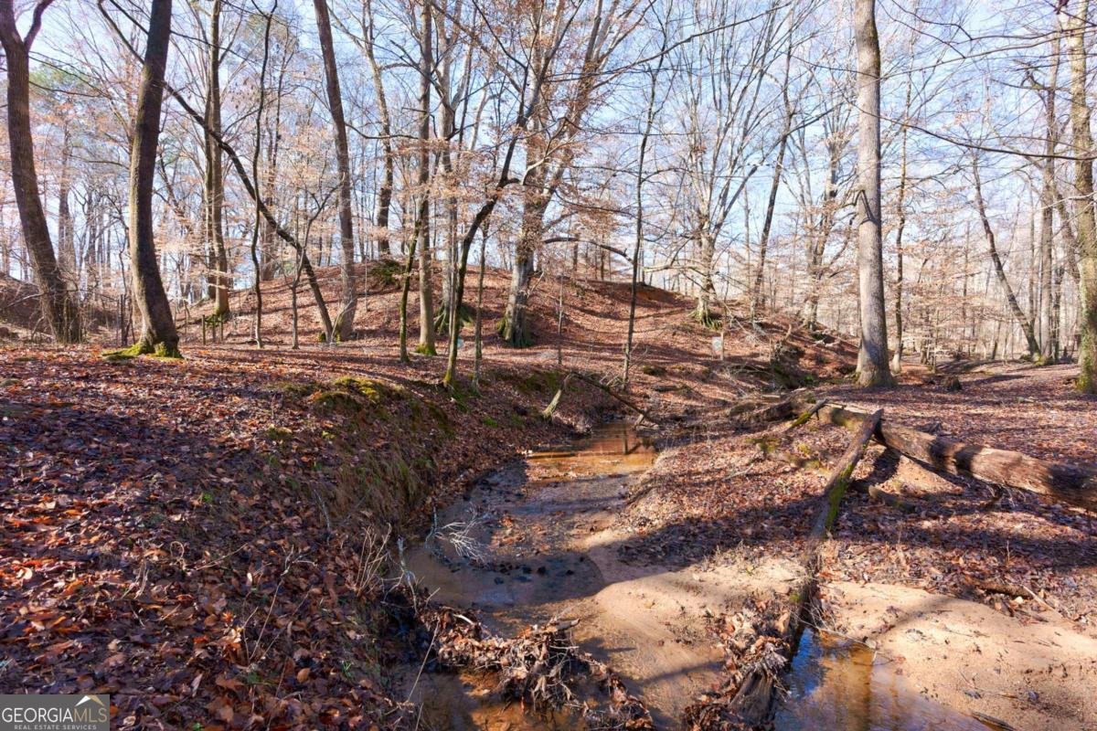 2223 Salem Road Watkinsville - 49