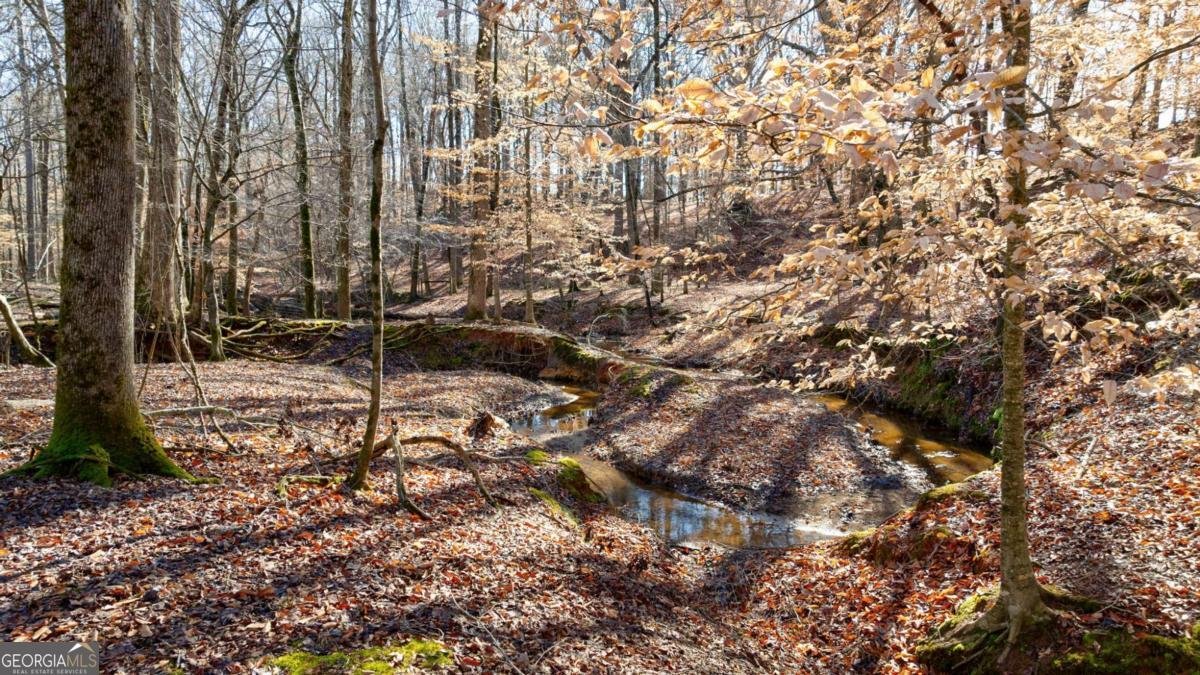 2223 Salem Road Watkinsville - 5