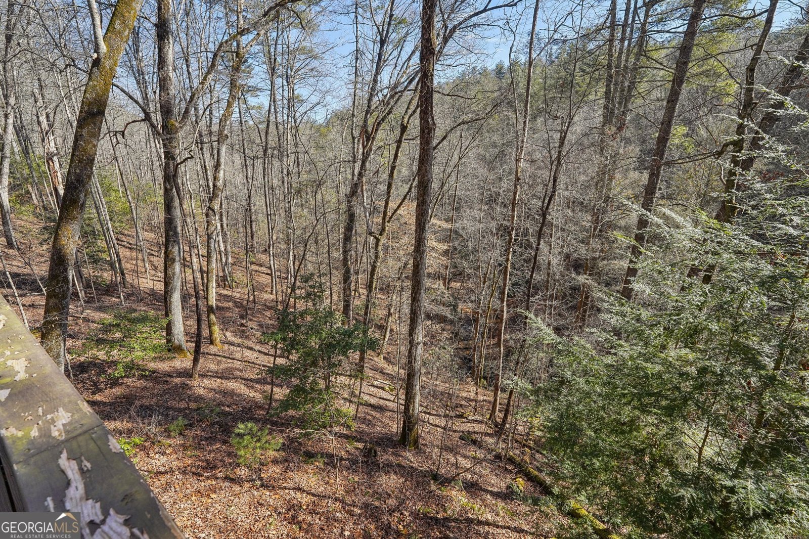 587 Etowah Trail Dahlonega - 20