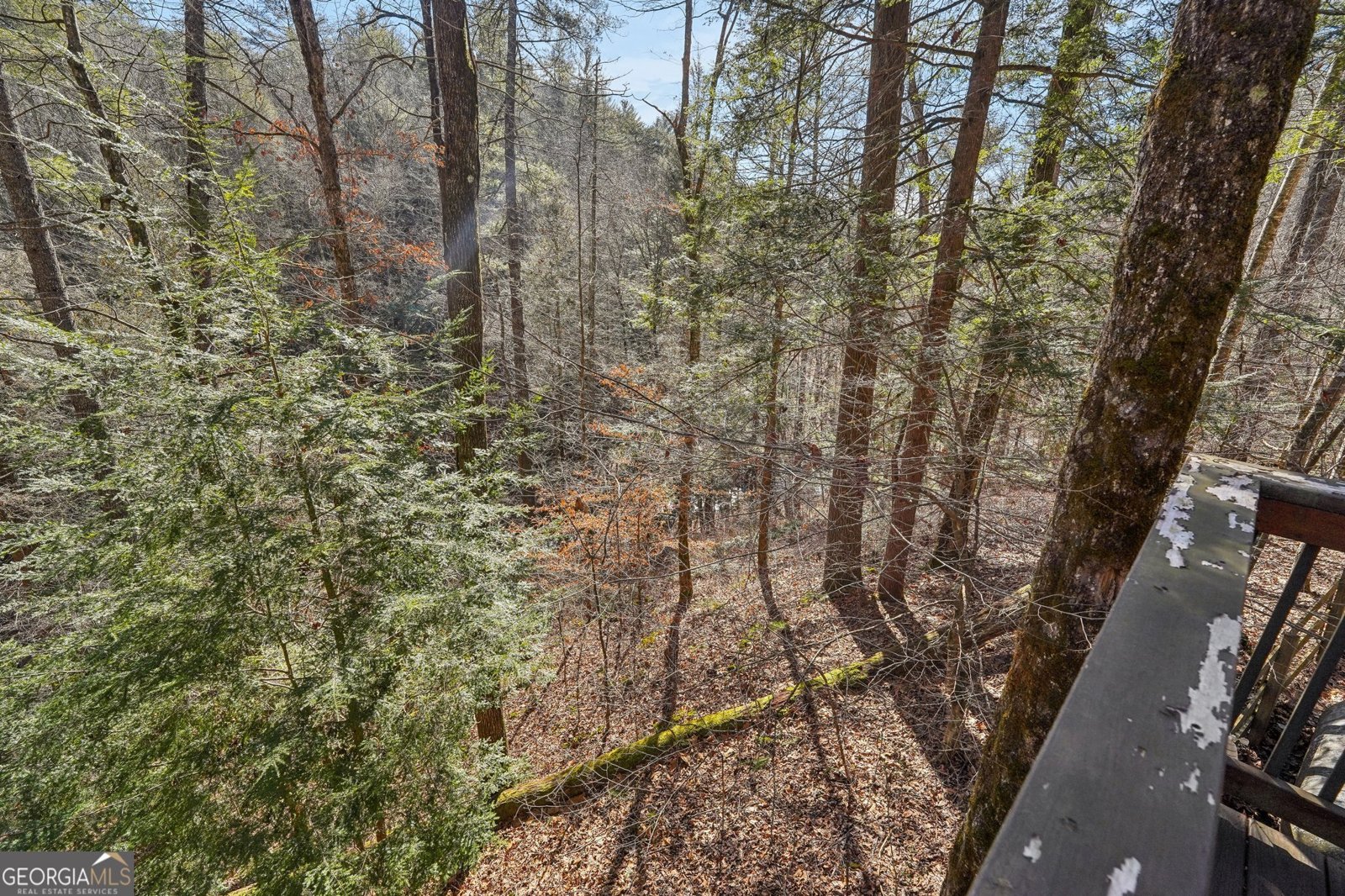 587 Etowah Trail Dahlonega - 21