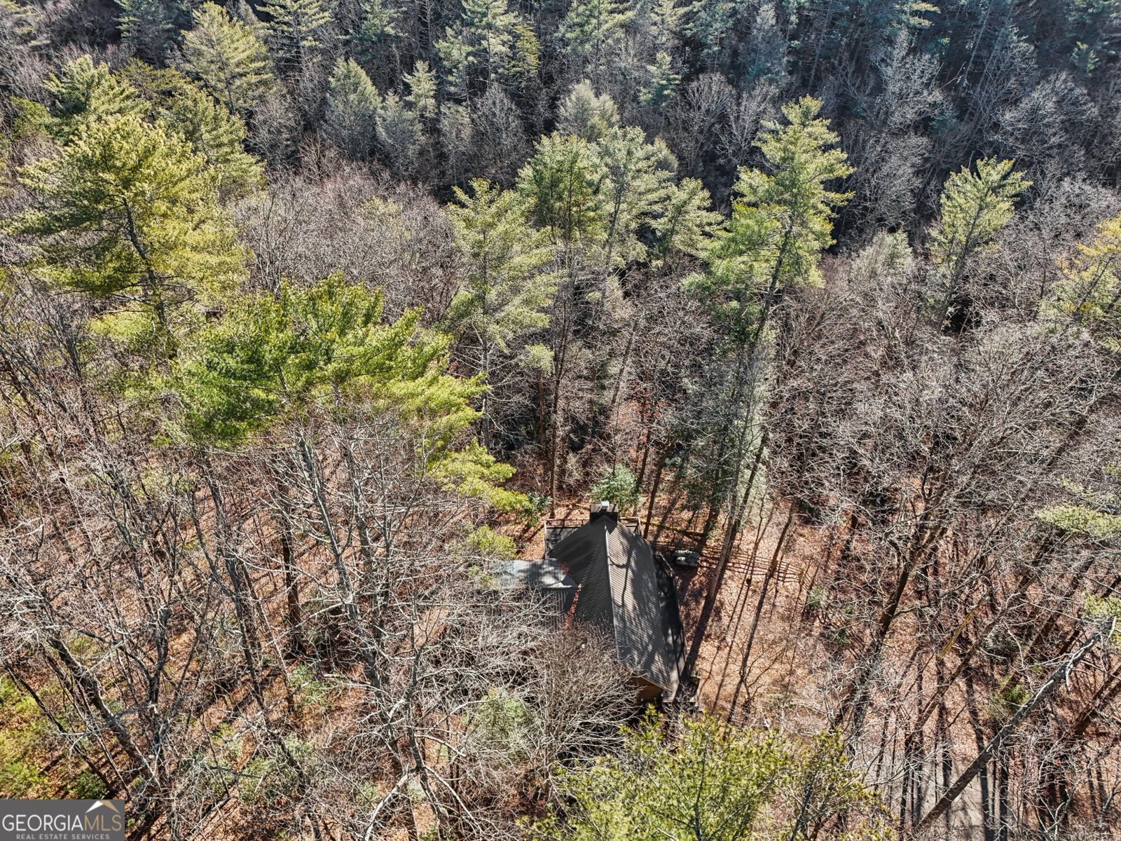 587 Etowah Trail Dahlonega - 30