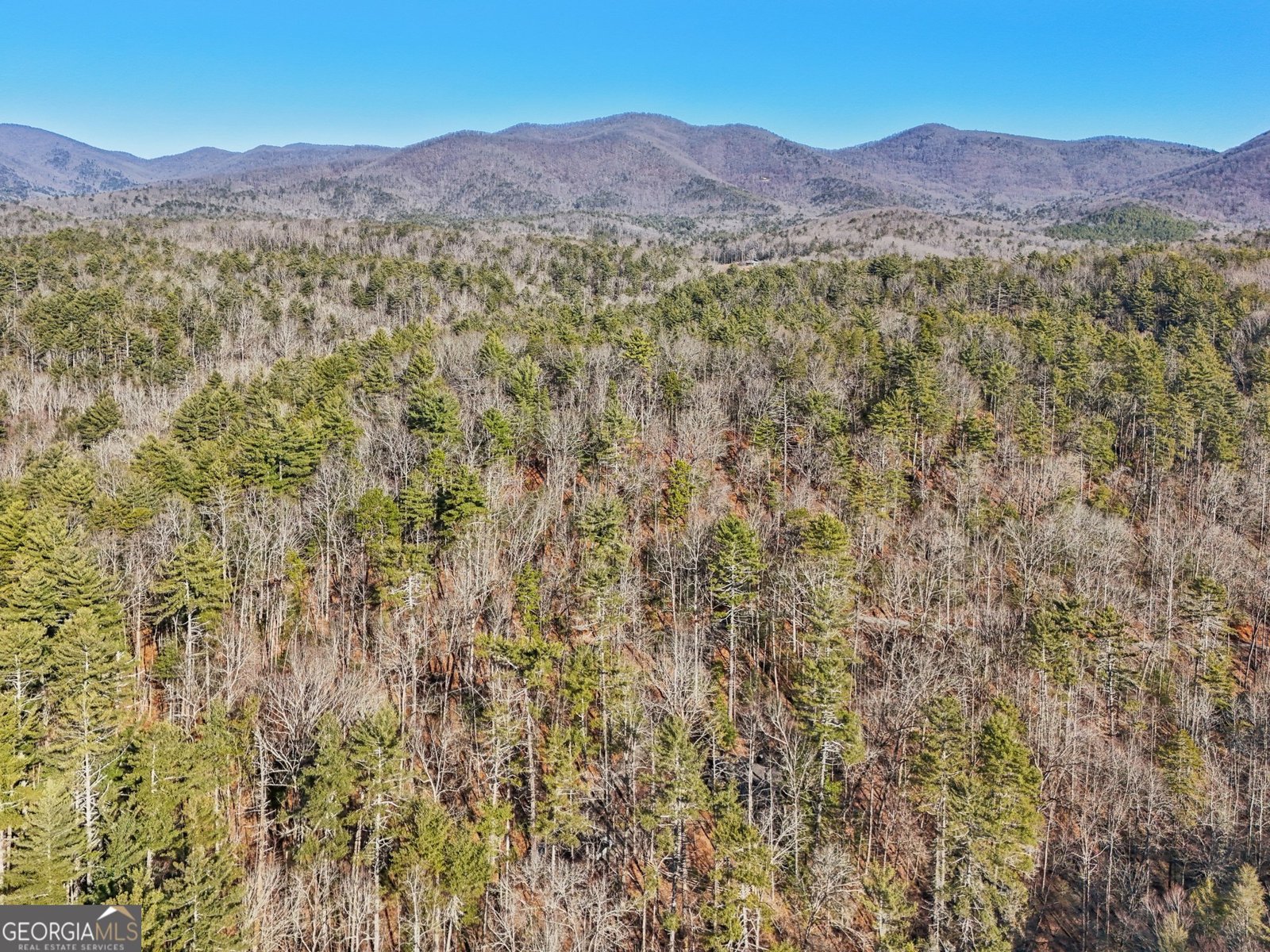 587 Etowah Trail Dahlonega - 36