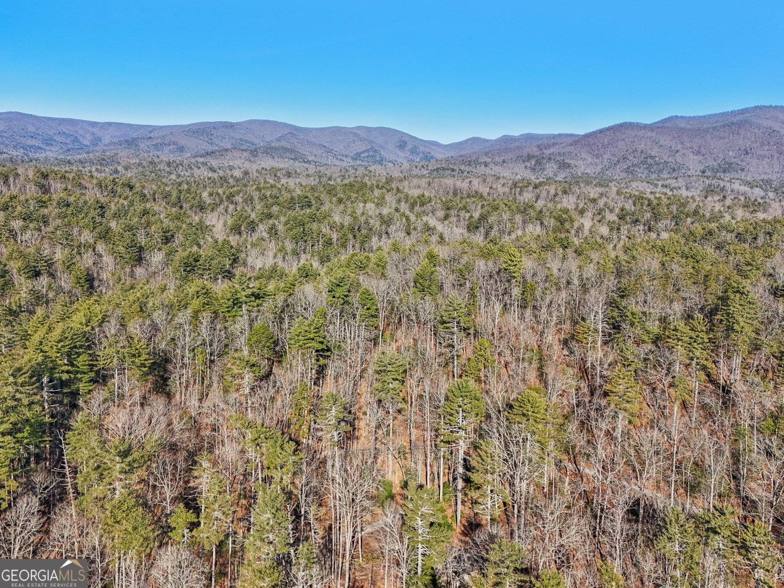 587 Etowah Trail Dahlonega - 37