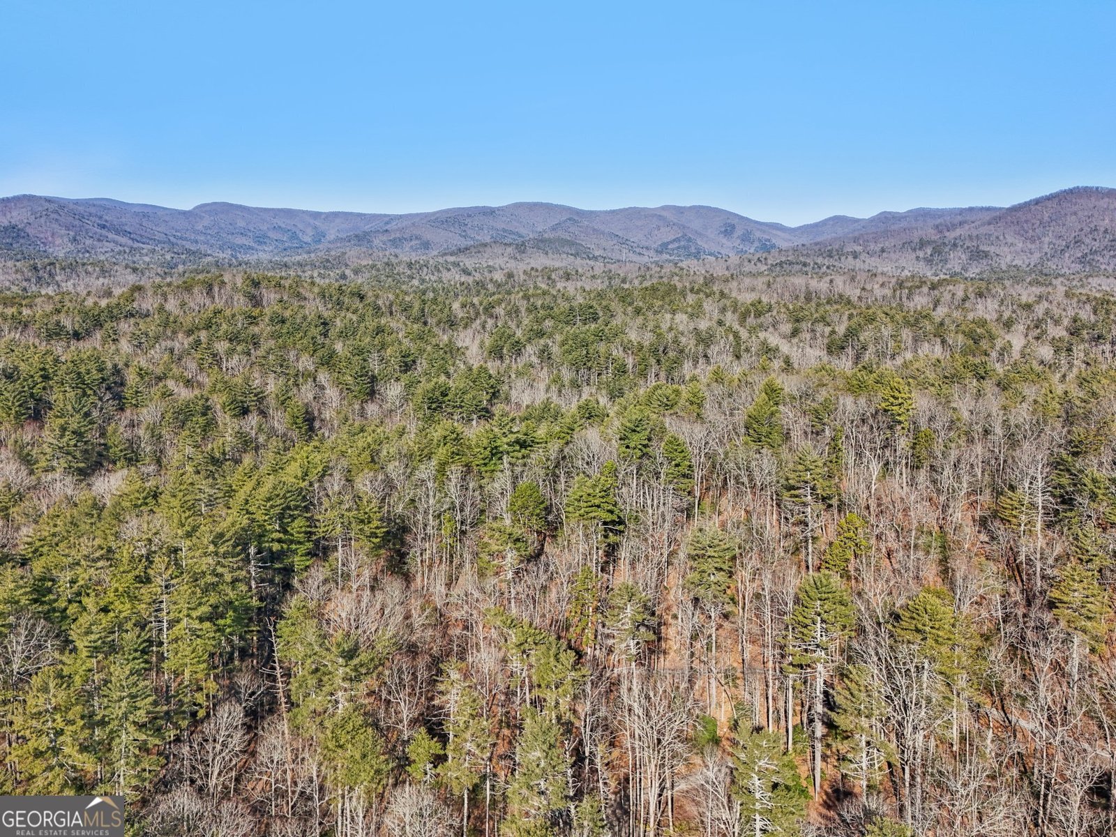 587 Etowah Trail Dahlonega - 38